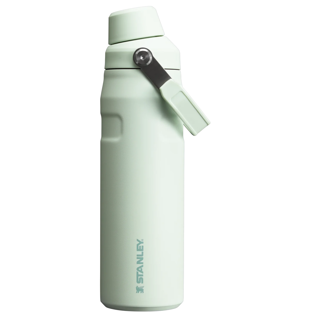 IceFlow Aerolight Bottle Fast Flow 24oz | Mist