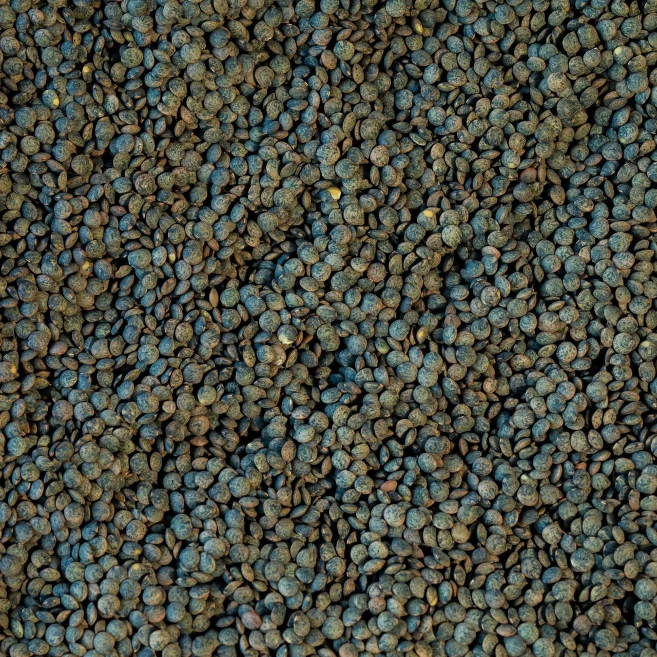 French Style Green Lentils