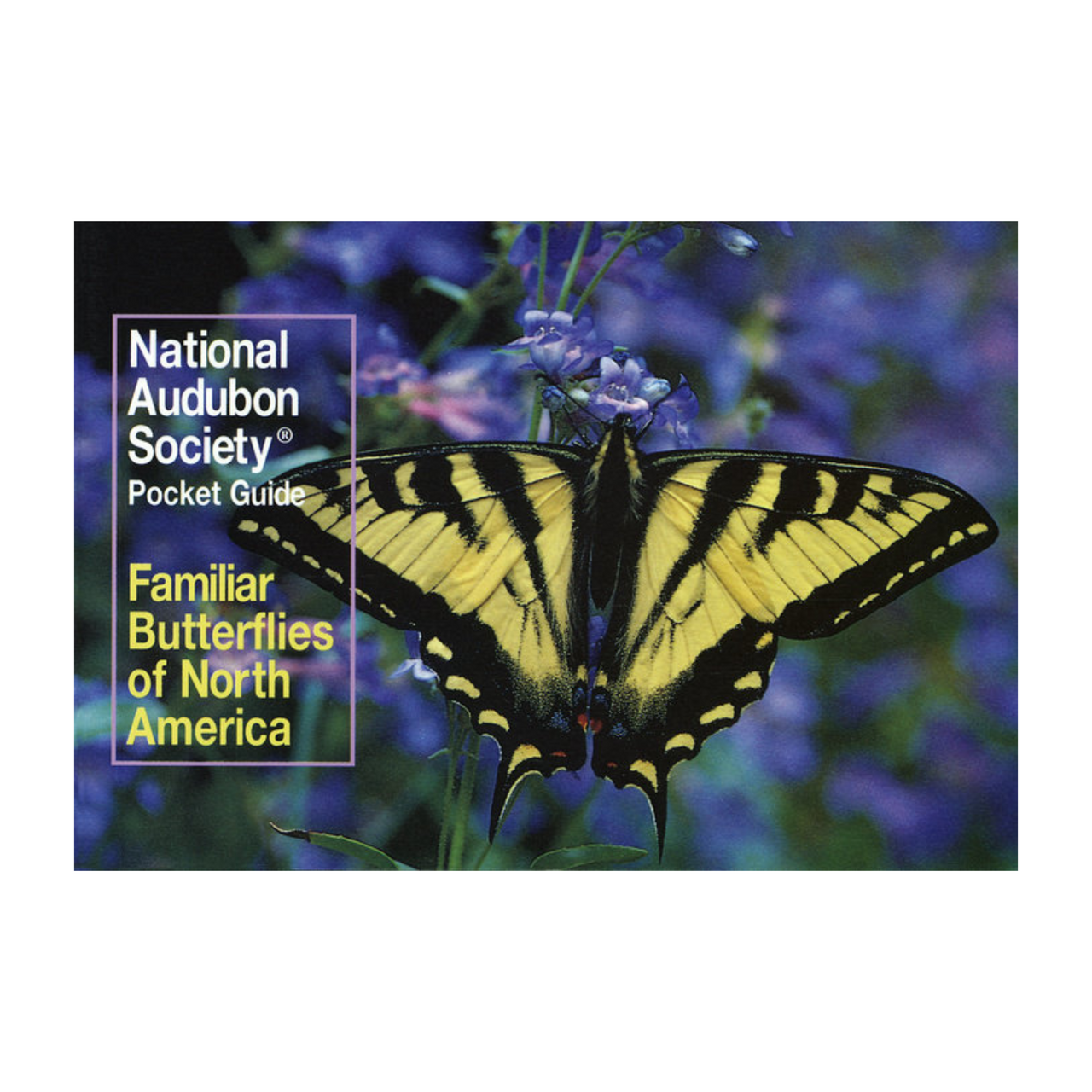 National Audubon Society Pocket Guide: Familiar Butterflies of North America