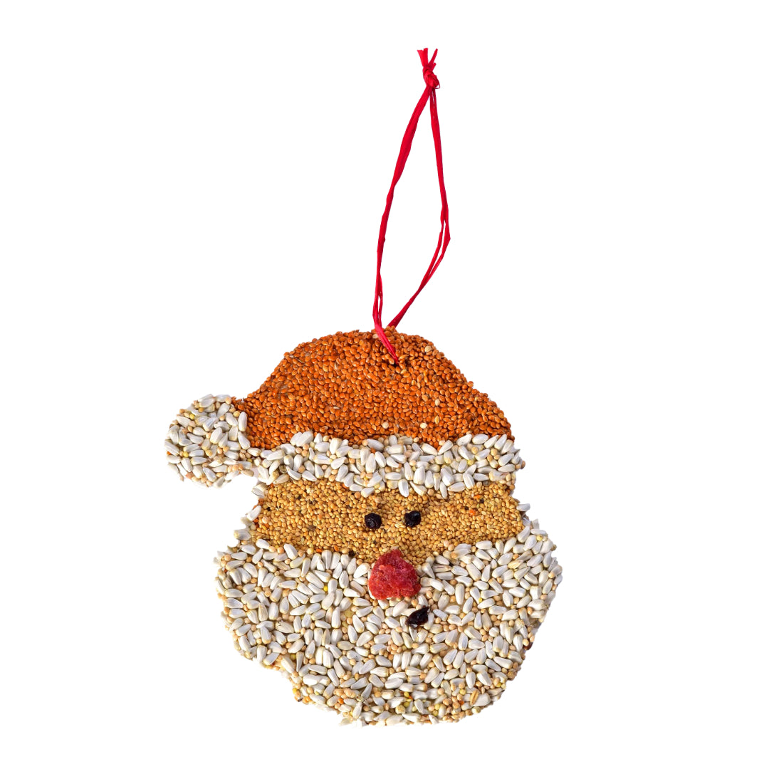 Christmas Cookie Ornament | Santa