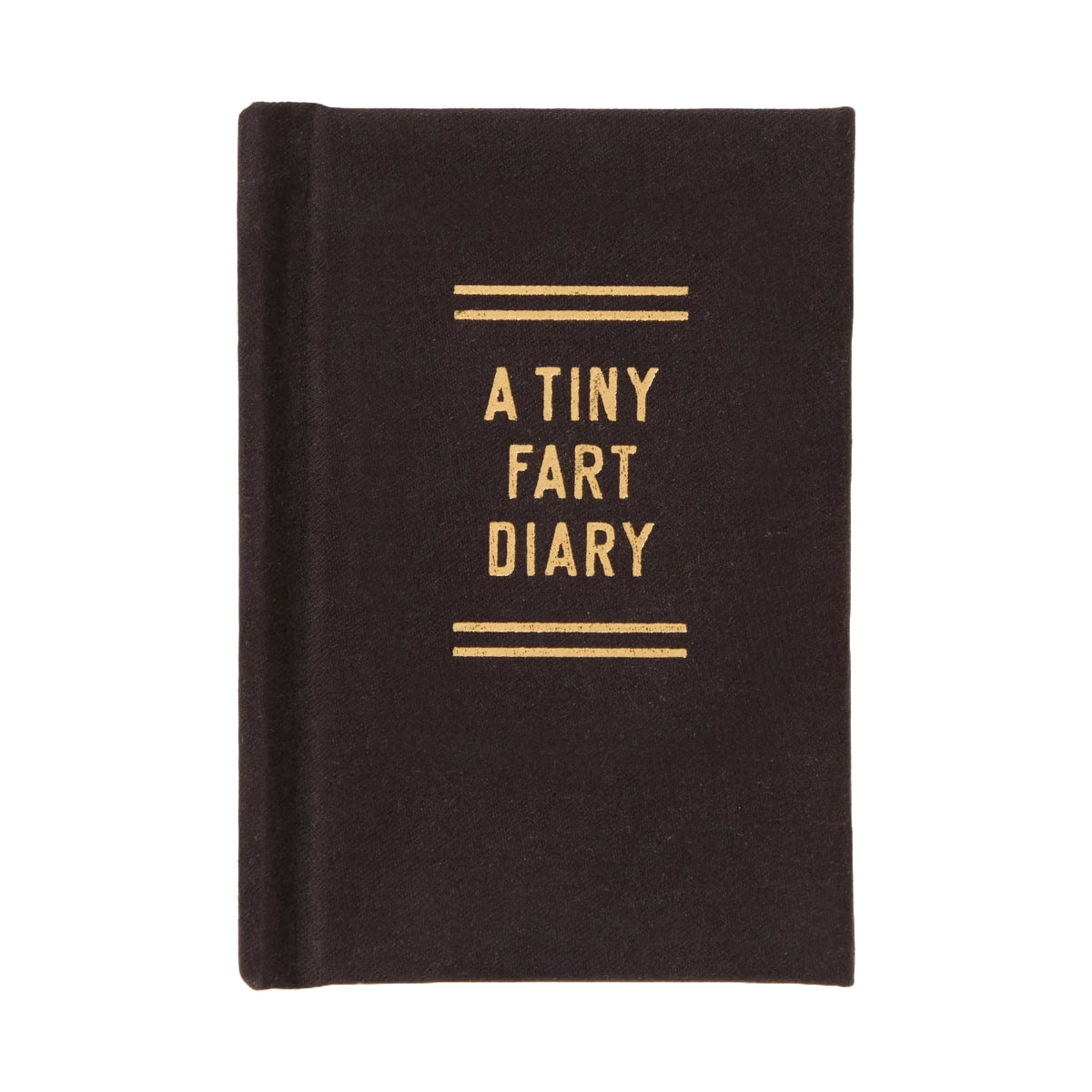 A Tiny Fart Diary