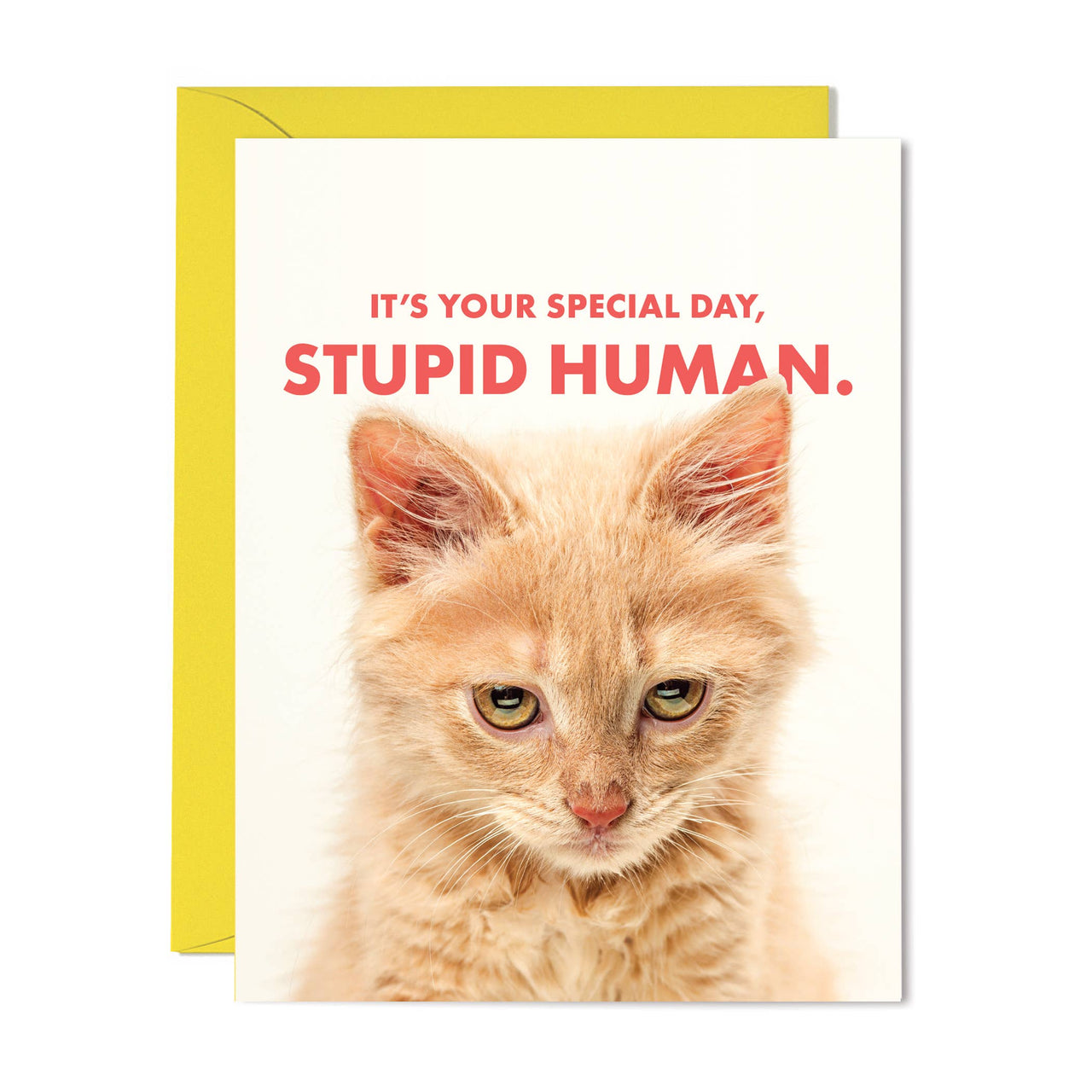 Your Special Day Card