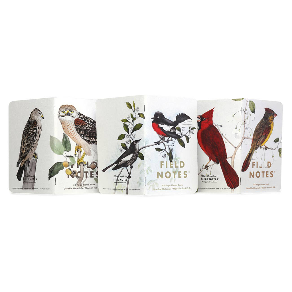 Birds Of North America Pack C | Redstart